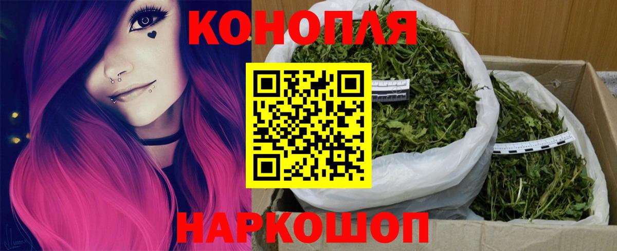 Канабис планчик Муравленко